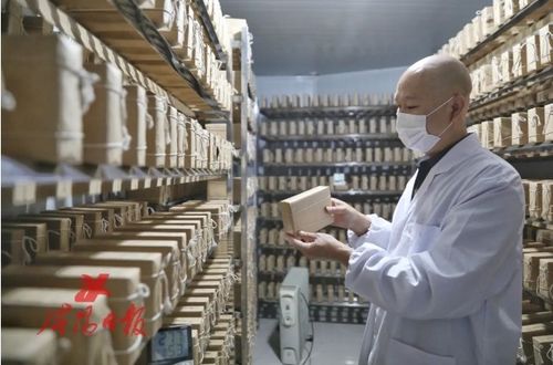 搶抓陜茶振興機(jī)遇 咸陽茯茶“鏈”動產(chǎn)業(yè)興